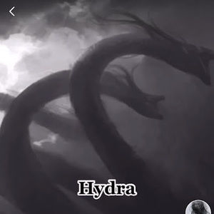 Meet your Posher, Willie